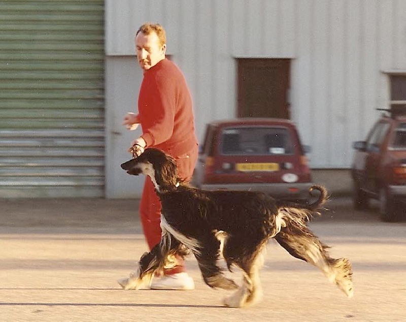 Publication : Tarmania Auteur : Alf