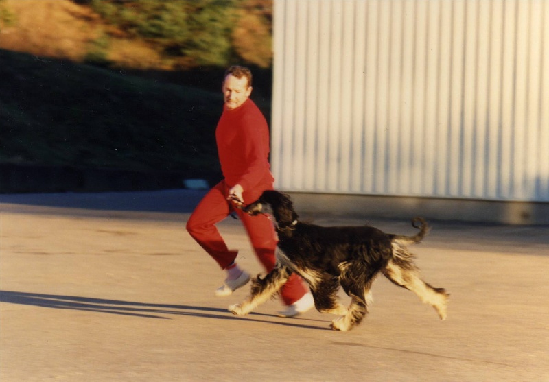 Publication : Tarmania Auteur : Alf