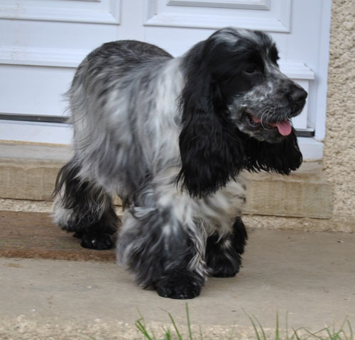 Eclipse de lune d'Al Ma Mour