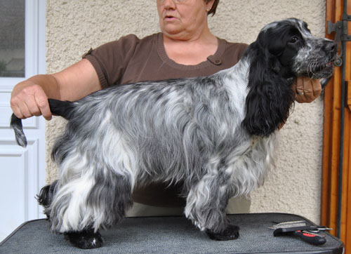 Eclipse de lune d'Al Ma Mour