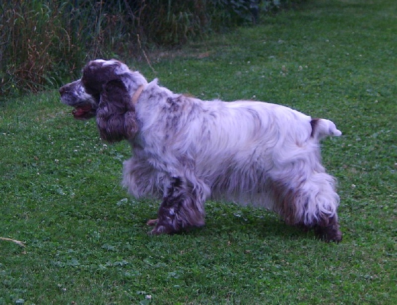 Publication : d'Al Ma Mour