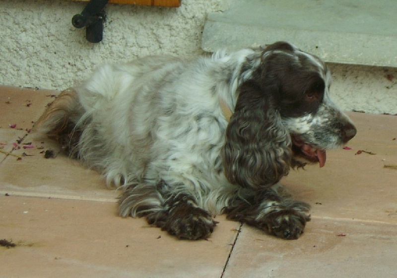 Publication : d'Al Ma Mour