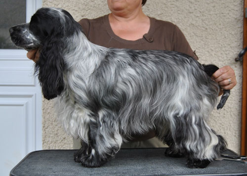 Eclipse de lune d'Al Ma Mour