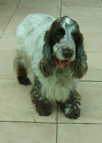 Publication : d'Al Ma Mour