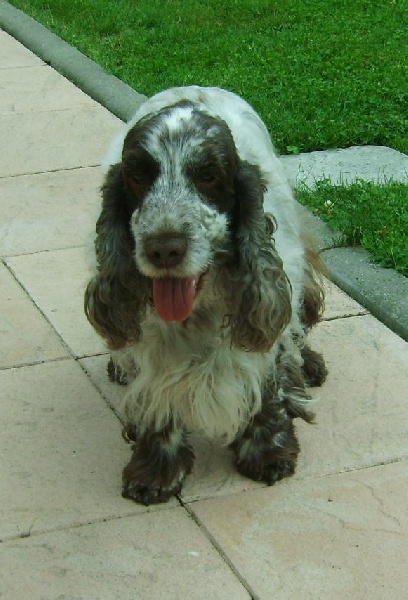 Publication : d'Al Ma Mour