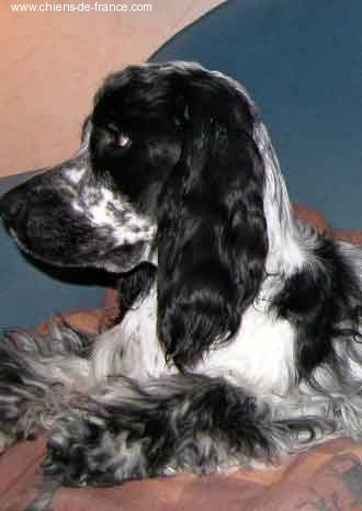 Anaïs anaïs d'Al Ma Mour