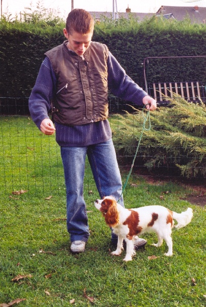 Publication : Du Bassin De La Chanterelle