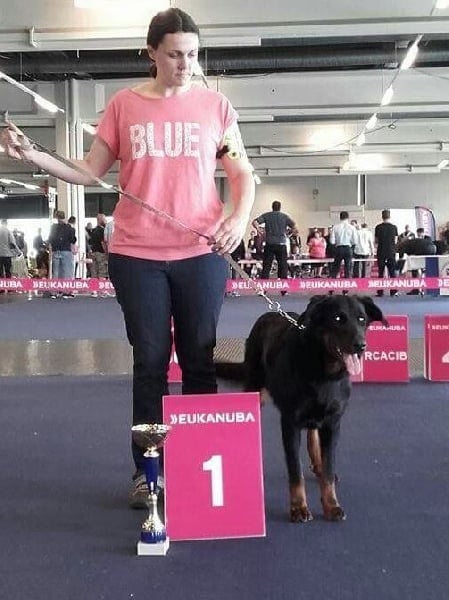 Jaïka des Feux de l'Ange - 1er Excellent classe intermédiaire