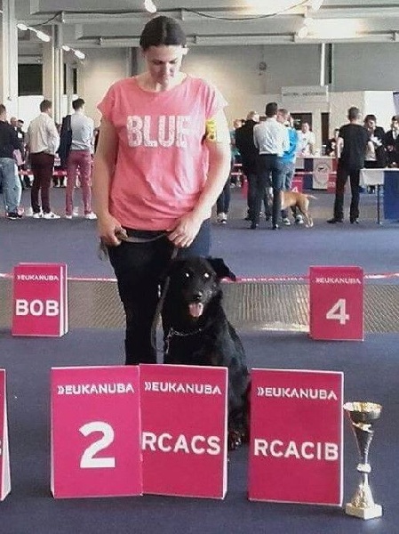 Jaïka des Feux de l'Ange - R-CACS R-CACIB