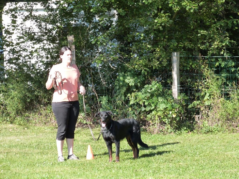 Jaïka des Feux de l'Ange - 2 ème classe débutant Très Prometteur