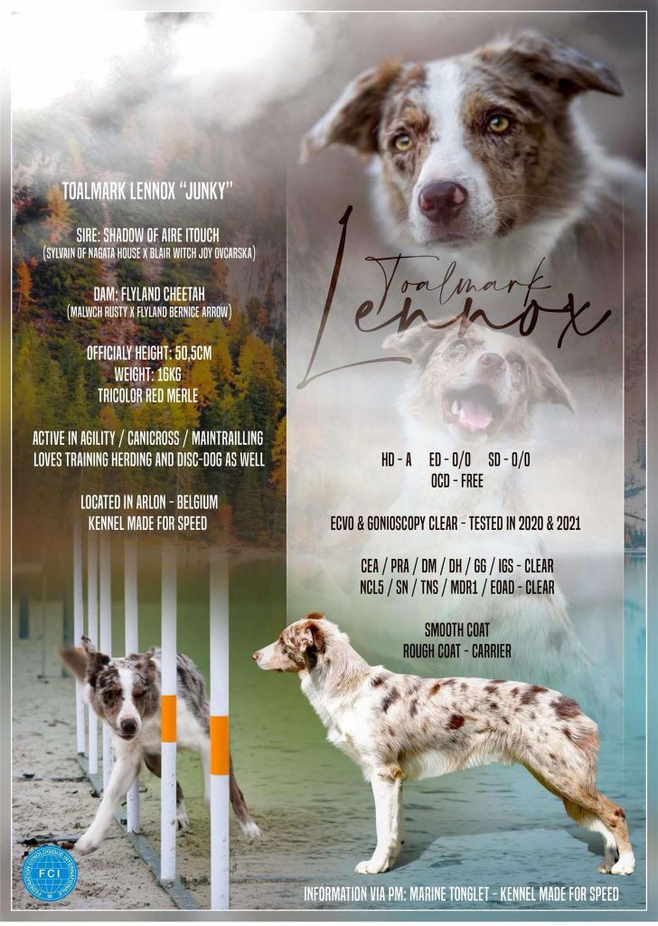 Publication : De La Mesta Pastores Auteur : Marine Tonglet