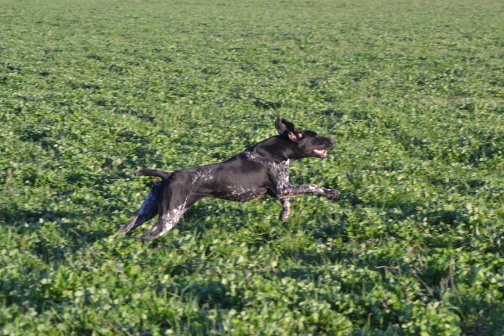 Publication : Du Rio Parana