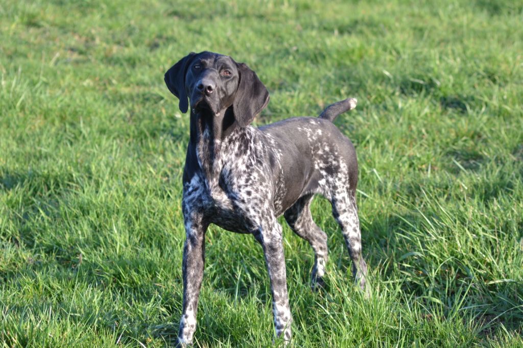 Publication : Du Rio Parana