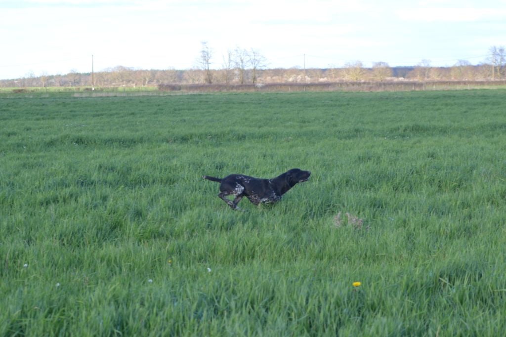 Publication : Du Rio Parana