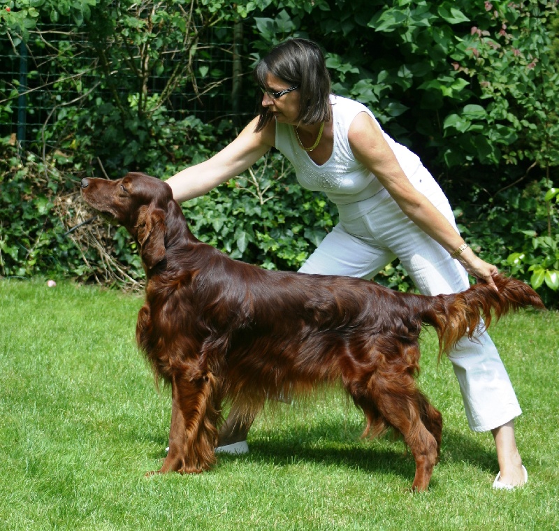 Publication : The red love