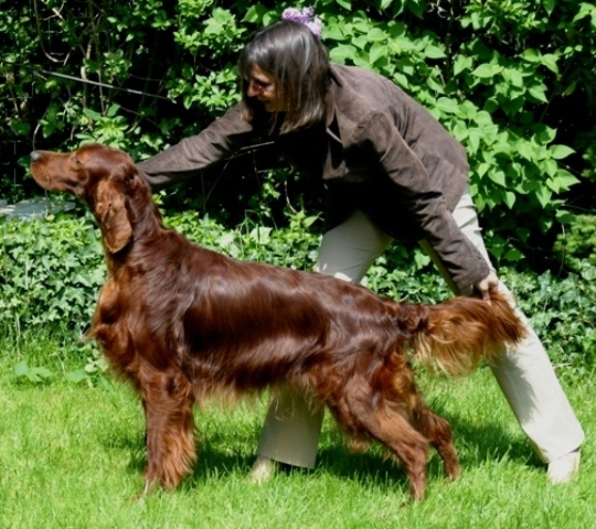 Publication : The red love