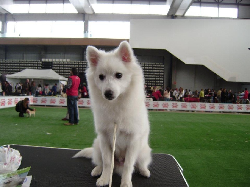 Publication : Fuyu No Hana