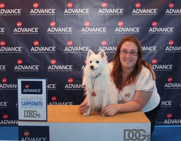 CH. Douna-chan Du ray de mussy - Excellent Premier CC et RCACIB