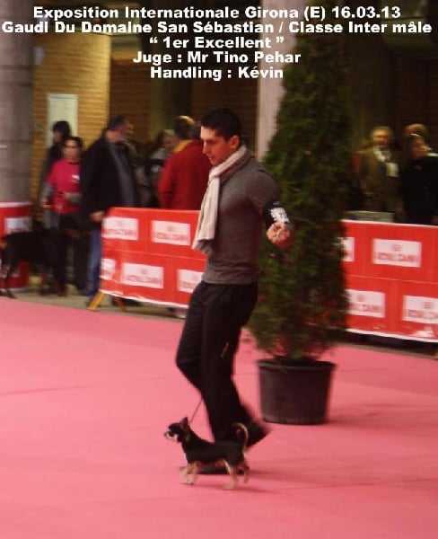 CH. Gaudi du Domaine San Sébastian - 1er Excellent