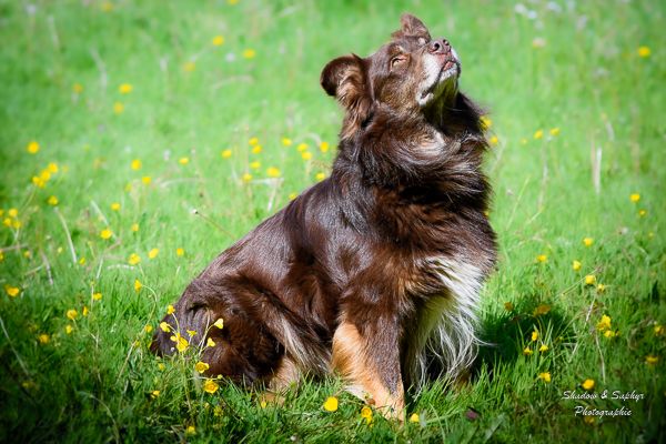 Nawan padawan (Sans Affixe)