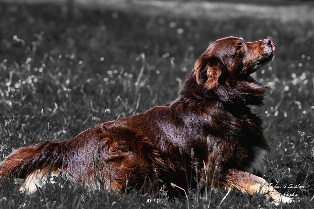 Nawan padawan (Sans Affixe)