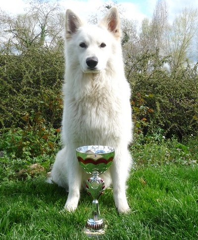 Enjoy Du domaine de la combe noire - 1er excellent et RCACS