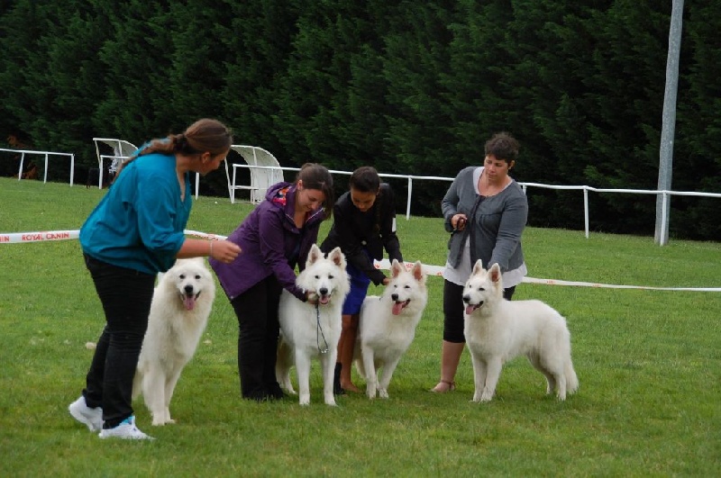 Enjoy Du domaine de la combe noire - 1 er Meilleur lot de repro