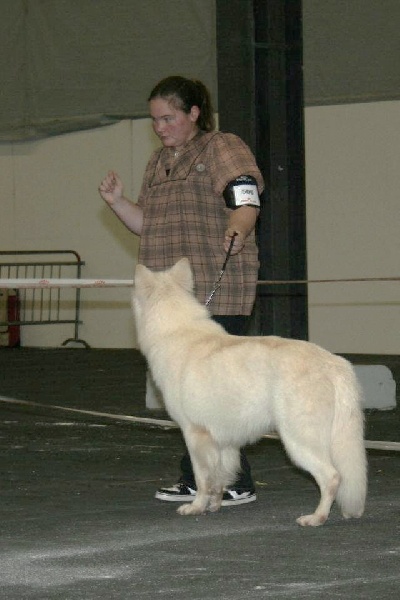 Enjoy Du domaine de la combe noire - 2eme Excellent