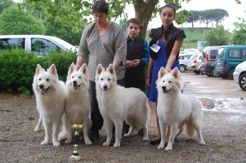 Enjoy Du domaine de la combe noire - 1 er meilleur lot de reproducteur avec Enjoy et ses Enfants