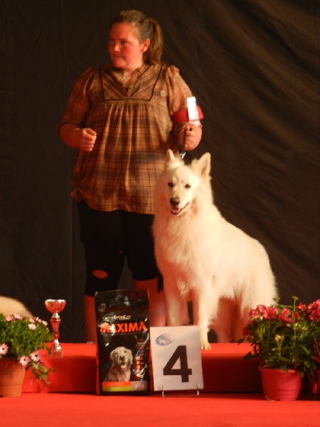 Enjoy Du domaine de la combe noire - 4 éme excellent