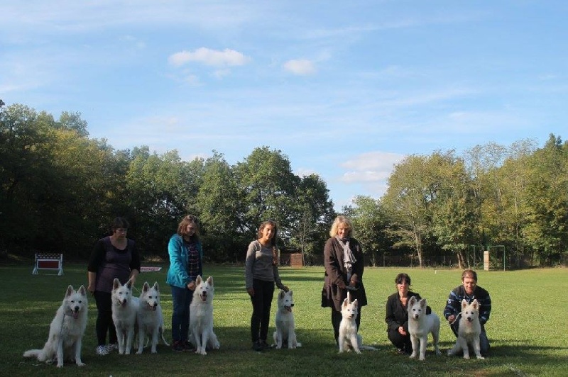 Enjoy Du domaine de la combe noire - Meilleur lot de Repro avec Enjoy et ses bébés
