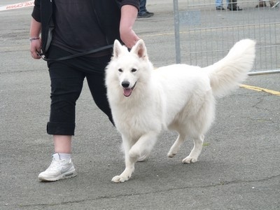 Enjoy Du domaine de la combe noire - 1er excellent Meilleur jeune