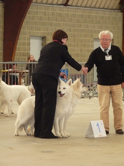 Enjoy Du domaine de la combe noire - 1 er Meilleur Couple Enjoy et Carat du Domaine de la Combe Noire