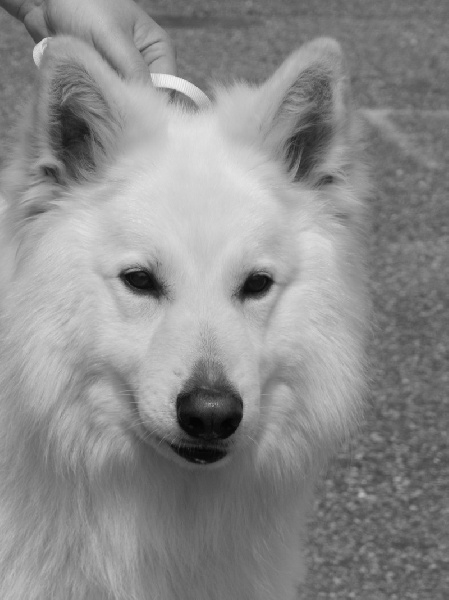 Enjoy Du domaine de la combe noire - 2 éme Très bon