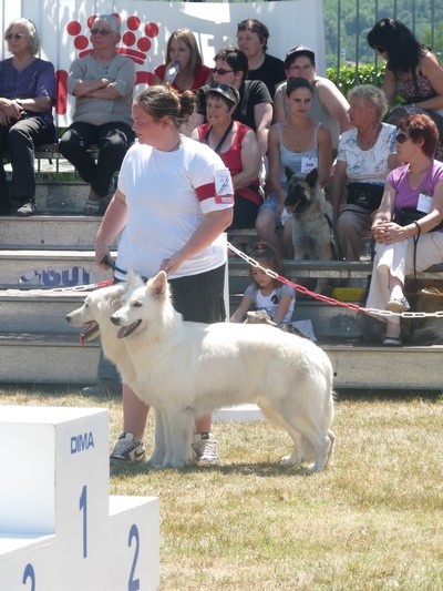Enjoy Du domaine de la combe noire - 3 eme Meilleur couple