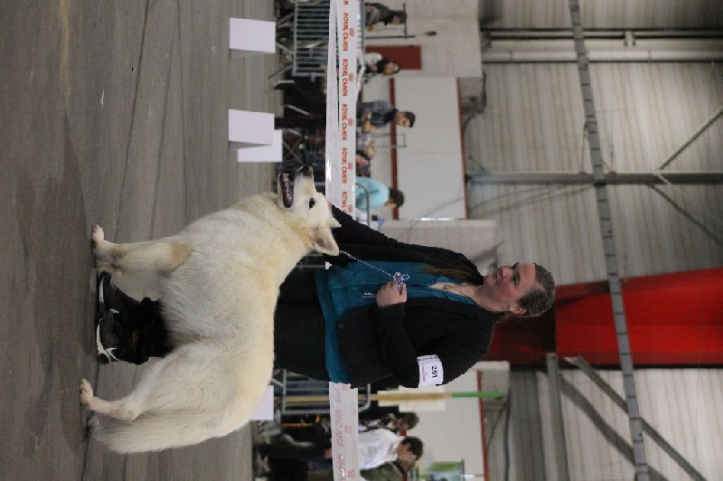 Enjoy Du domaine de la combe noire - 2 ème très bon