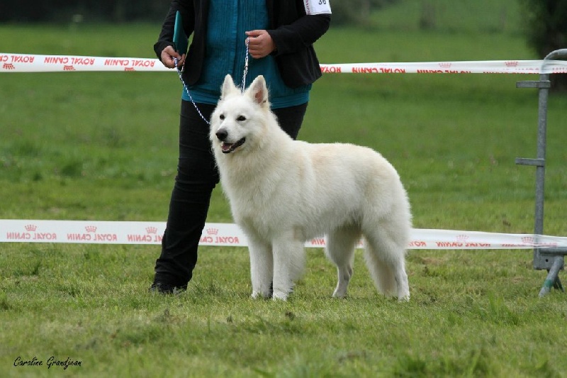 Enjoy Du domaine de la combe noire - 4 éme excellent classe travail male