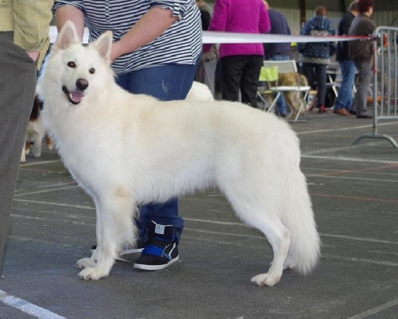 Enjoy Du domaine de la combe noire - excellent nc