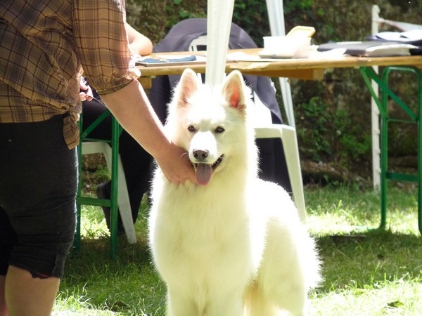 Enjoy Du domaine de la combe noire - 2eme Excellent RCACS