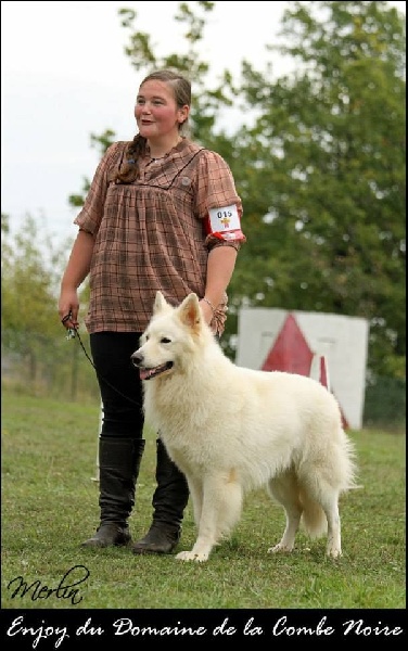 Enjoy Du domaine de la combe noire - 1 er excellent classe travail male