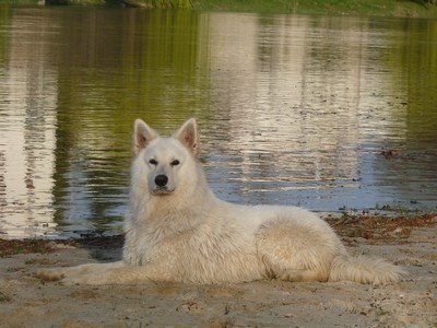 Enjoy Du domaine de la combe noire - 2eme Très bon