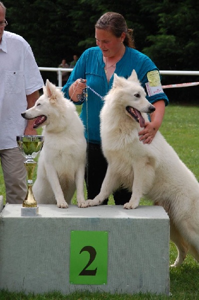 Enjoy Du domaine de la combe noire - 2 eme Meilleur Couple de l'expo