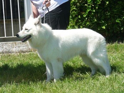 Enjoy Du domaine de la combe noire - 1 er excellent