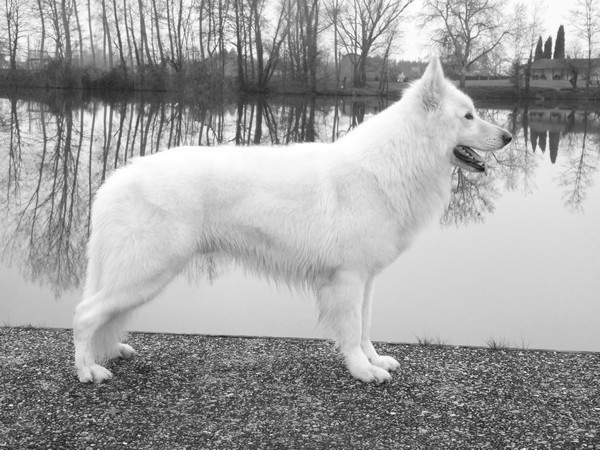 Enjoy Du domaine de la combe noire - 3 éme excellent