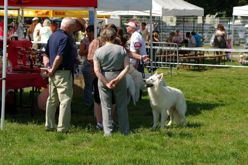 Enjoy Du domaine de la combe noire - 4 éme excellent
