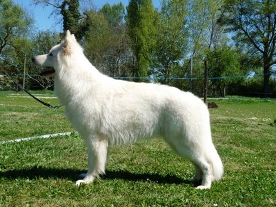 Enjoy Du domaine de la combe noire - 3eme excellent