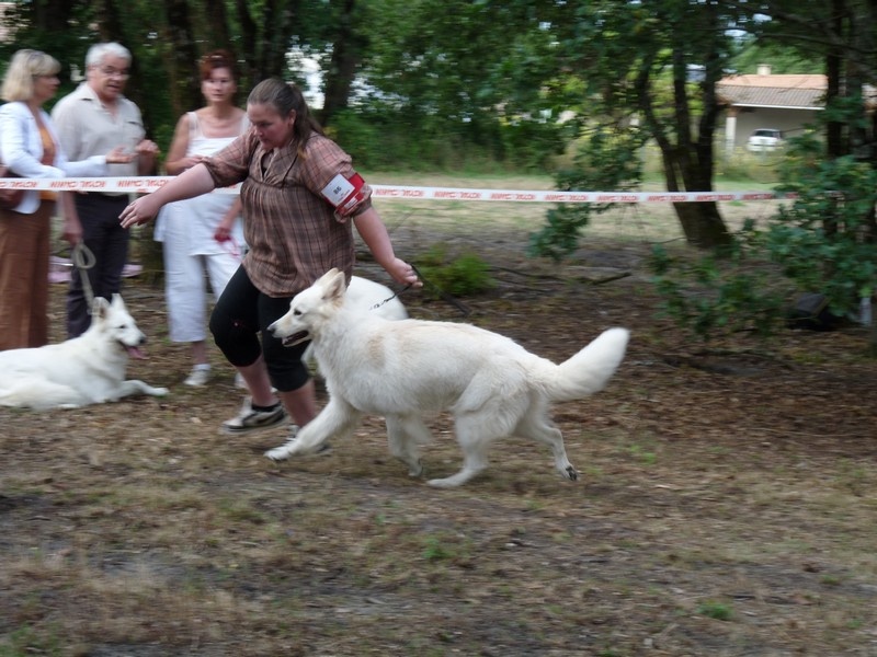 Enjoy Du domaine de la combe noire - 1 er excellent