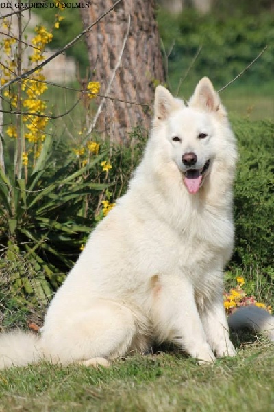 Enjoy Du domaine de la combe noire - 1 er excellent RCACS