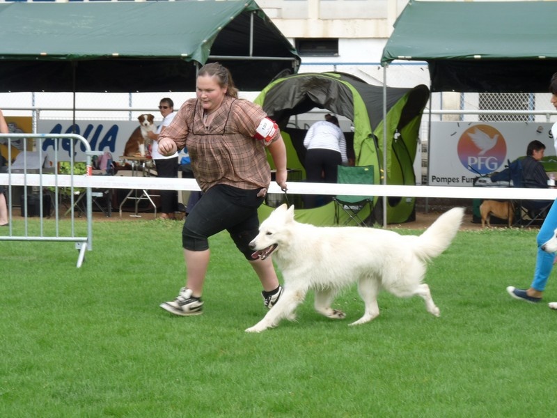 Enjoy Du domaine de la combe noire - 1 er excellent RCACS