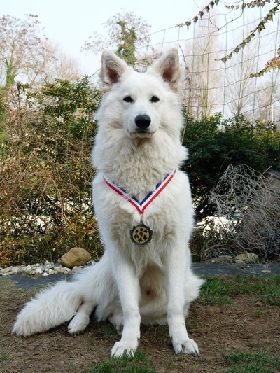 Enjoy Du domaine de la combe noire - 2 eme Très Prometteur